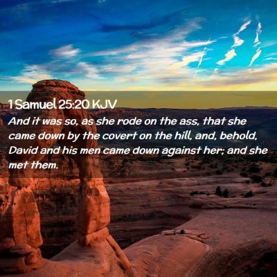 Picture 02 - 1 Samuel 25:20 KJV - And it was so, as she rode on the ass, that she - Bible Verse Picture
