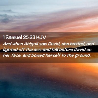 Picture 02 - 1 Samuel 25:23 KJV - And when Abigail saw David, she hasted, and - Bible Verse Picture