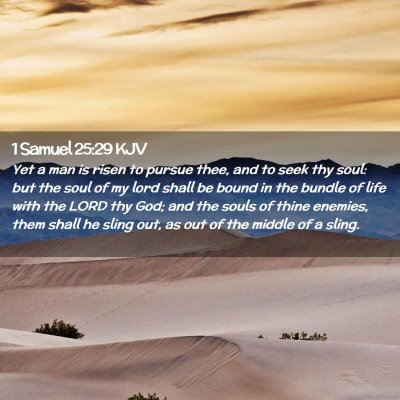 Picture 02 - 1 Samuel 25:29 KJV - Yet a man is risen to pursue thee, and to seek - Bible Verse Picture