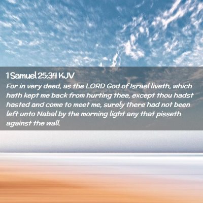 Picture 02 - 1 Samuel 25:34 KJV - For in very deed, as the LORD God of Israel - Bible Verse Picture
