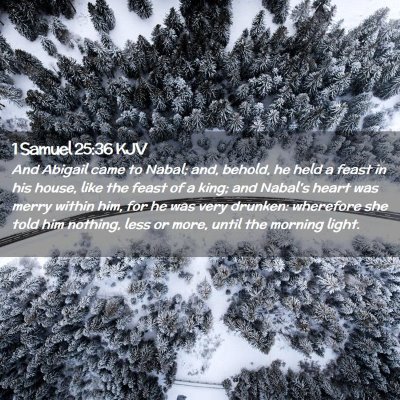 Picture 02 - 1 Samuel 25:36 KJV - And Abigail came to Nabal; and, behold, he held a - Bible Verse Picture