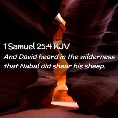 Picture 02 - 1 Samuel 25:4 KJV - And David heard in the wilderness that Nabal did - Bible Verse Picture