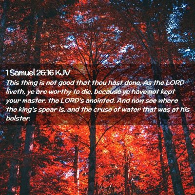 Picture 02 - 1 Samuel 26:16 KJV - This thing is not good that thou hast done. As - Bible Verse Picture
