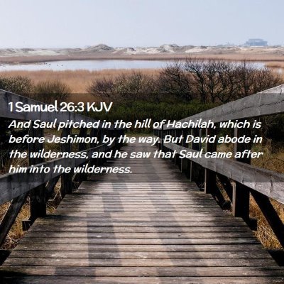 Picture 02 - 1 Samuel 26:3 KJV - And Saul pitched in the hill of Hachilah, which - Bible Verse Picture