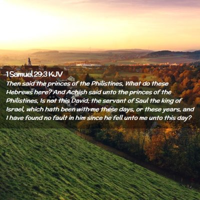 Picture 02 - 1 Samuel 29:3 KJV - Then said the princes of the Philistines, What do - Bible Verse Picture