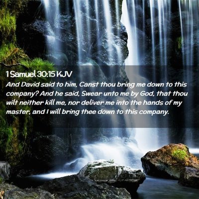 Picture 02 - 1 Samuel 30:15 KJV - And David said to him, Canst thou bring me down - Bible Verse Picture