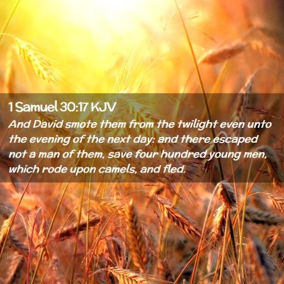 Picture 02 - 1 Samuel 30:17 KJV - And David smote them from the twilight even unto - Bible Verse Picture