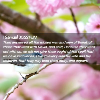 Picture 02 - 1 Samuel 30:22 KJV - Then answered all the wicked men and men of - Bible Verse Picture