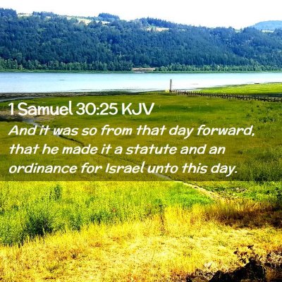Picture 02 - 1 Samuel 30:25 KJV - And it was so from that day forward, that he made - Bible Verse Picture