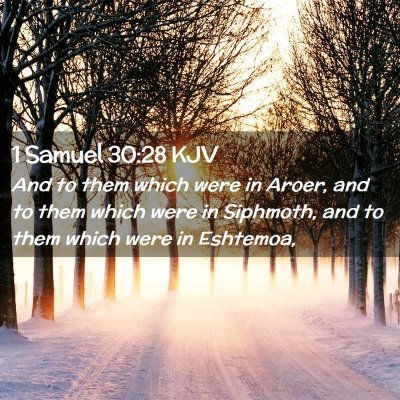 Picture 02 - 1 Samuel 30:28 KJV - And to them which were in Aroer, and to them - Bible Verse Picture