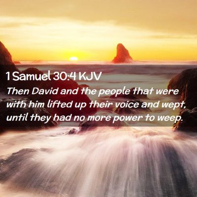 Picture 02 - 1 Samuel 30:4 KJV - Then David and the people that were with him - Bible Verse Picture