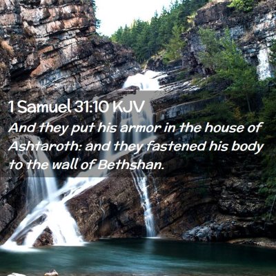Picture 02 - 1 Samuel 31:10 KJV - And they put his armor in the house of Ashtaroth: - Bible Verse Picture
