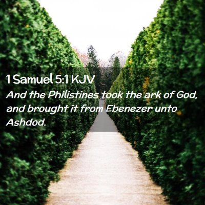 Picture 02 - 1 Samuel 5:1 KJV - And the Philistines took the ark of God, and - Bible Verse Picture