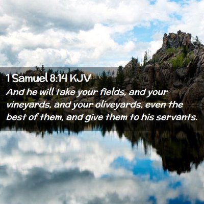 Picture 02 - 1 Samuel 8:14 KJV - And he will take your fields, and your vineyards, - Bible Verse Picture