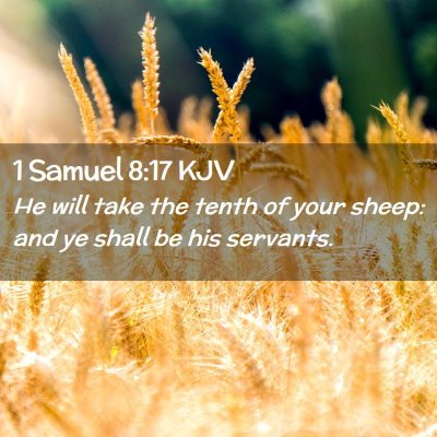 Picture 02 - 1 Samuel 8:17 KJV - He will take the tenth of your sheep: and ye - Bible Verse Picture