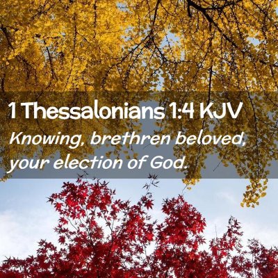 Picture 02 - 1 Thessalonians 1:4 KJV - Knowing, brethren beloved, your election of - Bible Verse Picture