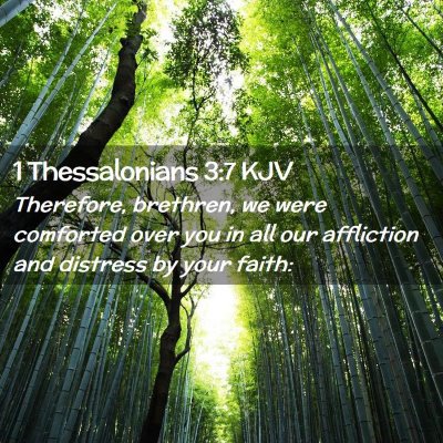 Picture 02 - 1 Thessalonians 3:7 KJV - Therefore, brethren, we were comforted over you - Bible Verse Picture