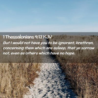 Picture 02 - 1 Thessalonians 4:13 KJV - But I would not have you to be ignorant, - Bible Verse Picture