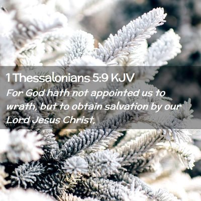 Picture 02 - 1 Thessalonians 5:9 KJV - For God hath not appointed us to wrath, but to - Bible Verse Picture