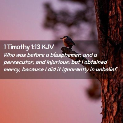 Picture 02 - 1 Timothy 1:13 KJV - Who was before a blasphemer, and a persecutor, - Bible Verse Picture