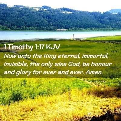 Picture 02 - 1 Timothy 1:17 KJV - Now unto the King eternal, immortal, invisible, - Bible Verse Picture