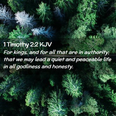 Picture 02 - 1 Timothy 2:2 KJV - For kings, and for all that are in authority; - Bible Verse Picture