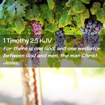 Picture 02 - 1 Timothy 2:5 KJV - For there is one God, and one mediator between - Bible Verse Picture