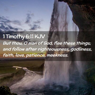 Picture 02 - 1 Timothy 6:11 KJV - But thou, O man of God, flee these things; and - Bible Verse Picture
