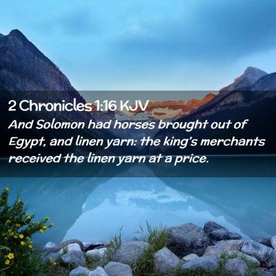 Picture 02 - 2 Chronicles 1:16 KJV - And Solomon had horses brought out of Egypt, and - Bible Verse Picture