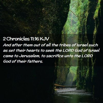 Picture 02 - 2 Chronicles 11:16 KJV - And after them out of all the tribes of Israel - Bible Verse Picture
