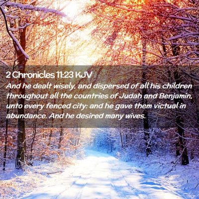 Picture 02 - 2 Chronicles 11:23 KJV - And he dealt wisely, and dispersed of all his - Bible Verse Picture