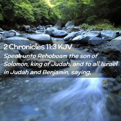 Picture 02 - 2 Chronicles 11:3 KJV - Speak unto Rehoboam the son of Solomon, king of - Bible Verse Picture