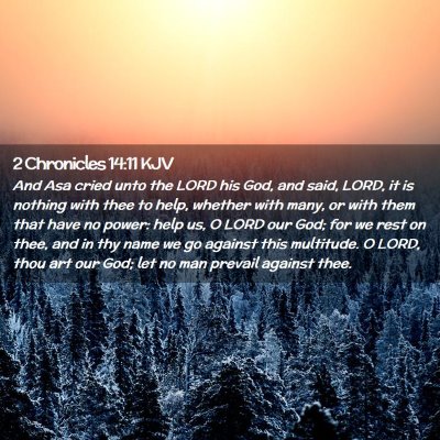 Picture 02 - 2 Chronicles 14:11 KJV - And Asa cried unto the LORD his God, and said, - Bible Verse Picture