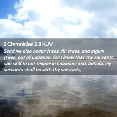 Picture 02 - 2 Chronicles 2:8 KJV - Send me also cedar trees, fir trees, and algum - Bible Verse Picture