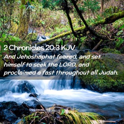 Picture 02 - 2 Chronicles 20:3 KJV - And Jehoshaphat feared, and set himself to seek - Bible Verse Picture
