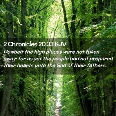 Picture 02 - 2 Chronicles 20:33 KJV - Howbeit the high places were not taken away: for - Bible Verse Picture