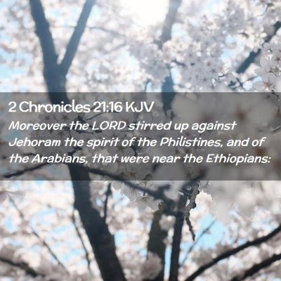 Picture 02 - 2 Chronicles 21:16 KJV - Moreover the LORD stirred up against Jehoram the - Bible Verse Picture