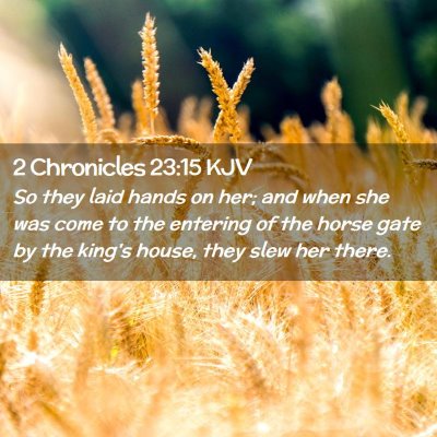 Picture 02 - 2 Chronicles 23:15 KJV - So they laid hands on her; and when she was come - Bible Verse Picture