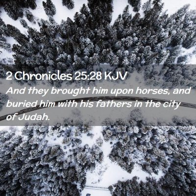 Picture 02 - 2 Chronicles 25:28 KJV - And they brought him upon horses, and buried him - Bible Verse Picture