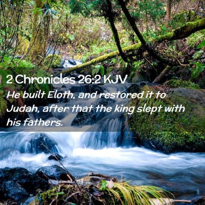 Picture 02 - 2 Chronicles 26:2 KJV - He built Eloth, and restored it to Judah, after - Bible Verse Picture