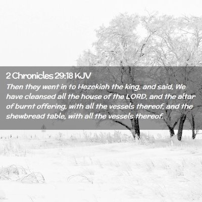 Picture 02 - 2 Chronicles 29:18 KJV - Then they went in to Hezekiah the king, and said, - Bible Verse Picture