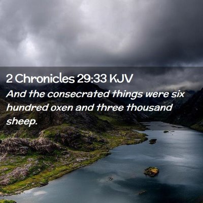 Picture 02 - 2 Chronicles 29:33 KJV - And the consecrated things were six hundred oxen - Bible Verse Picture