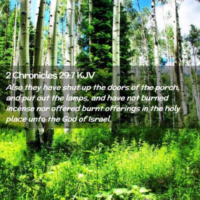 Picture 02 - 2 Chronicles 29:7 KJV - Also they have shut up the doors of the porch, - Bible Verse Picture