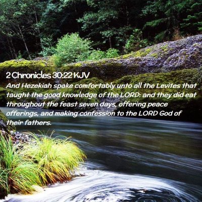 Picture 02 - 2 Chronicles 30:22 KJV - And Hezekiah spake comfortably unto all the - Bible Verse Picture