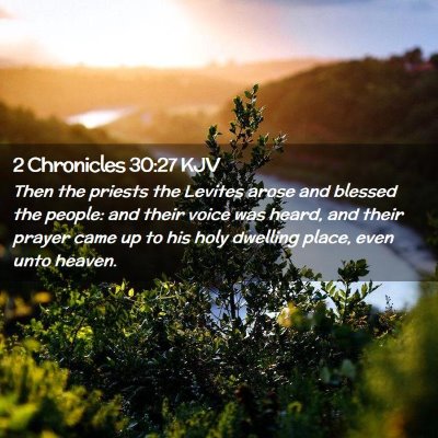 Picture 02 - 2 Chronicles 30:27 KJV - Then the priests the Levites arose and blessed - Bible Verse Picture