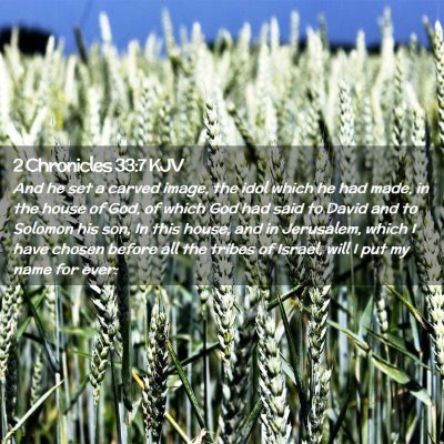 Picture 02 - 2 Chronicles 33:7 KJV - And he set a carved image, the idol which he had - Bible Verse Picture