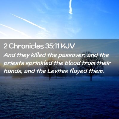 Picture 02 - 2 Chronicles 35:11 KJV - And they killed the passover, and the priests - Bible Verse Picture