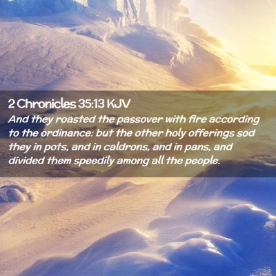 Picture 02 - 2 Chronicles 35:13 KJV - And they roasted the passover with fire according - Bible Verse Picture