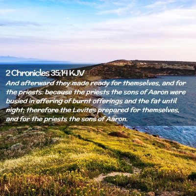 Picture 02 - 2 Chronicles 35:14 KJV - And afterward they made ready for themselves, and - Bible Verse Picture