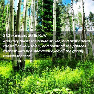 Picture 02 - 2 Chronicles 36:19 KJV - And they burnt the house of God, and brake down - Bible Verse Picture
